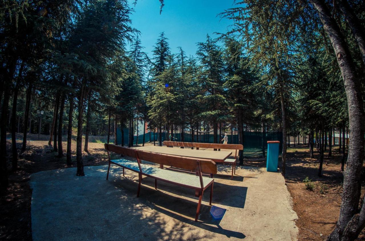Visit Sunny Beach Sea Apartments Elenite Εξωτερικό φωτογραφία